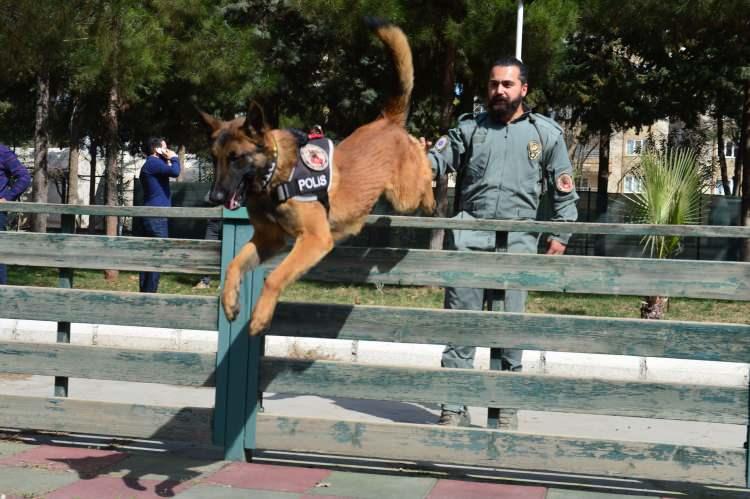 <p>Törende Hera'ya, görevlerinde gösterdiği üstün başarıdan dolayı madalya takıldı ve üzerinde fotoğrafının yer aldığı pasta kesildi.</p>