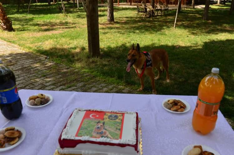 <p>Hera, Şanlıurfa Emniyet Müdürlüğündeki görevini Meth isimli dedektör köpeğe devretti.</p>