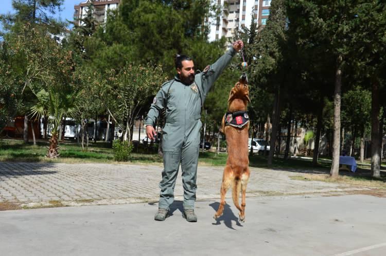 <p>Ağır sakatlıklarına rağmen kısa sürede görevine dönmeyi başaran güçlü bir köpek olduğunun altını çizen Karayiğit, şöyle devam etti:</p>
