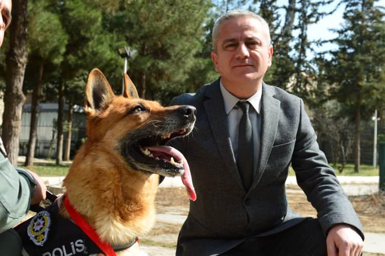<p>"Hera ile her gün bir araya geliyor, birlikte geziyor, antrenmanlarını yaptırıyordum. Artık diyet yapmayacak, yemekleri de sevmeye başladı. Benim için kısmen de olsa ondan ayrılmak zor olacak çünkü tecrübeli bir narkotik köpeği. Yerine gelen köpeğimiz de çok iyi, çok hareketli. Yeni köpeğimiz de Hera gibi. İnşallah onunla da güzel görevler gerçekleştiririz."</p>