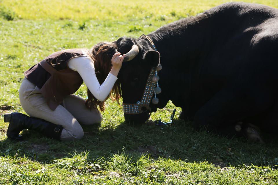 <p>&Ccedil;ift&ccedil;i bir ailenin &ccedil;ocuğu olan ve "Hanımağa" olarak anılan T&uuml;t&uuml;nc&uuml;, AA muhabirine, yıllardır birebir ilgilendiği ve en b&uuml;y&uuml;k hobisi olarak tanımladığı boğalarla ilgili işini anlattı.</p>
