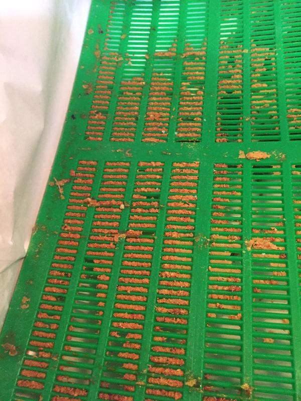 Litresi 7 bin lira olan 'propolis' yok satıyor