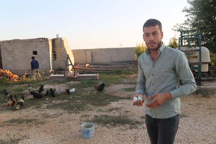 <p>- "Bunlar gezen tavuklar, masrafı da çok az oluyor" </p>
<p>Yaptığı işlerin yanında iyi bir ek gelir de kazanmaya başladığını anlatan Elçi, mavi yumurtaların bölgedeki insanların dikkatini çektiğini söyledi. </p>