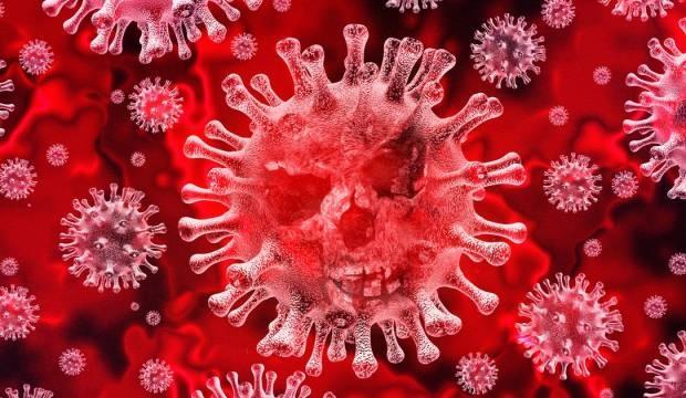 50 milyondan fazla can aldı! İnsanlığın savaştığı 8 ölümcül virüs