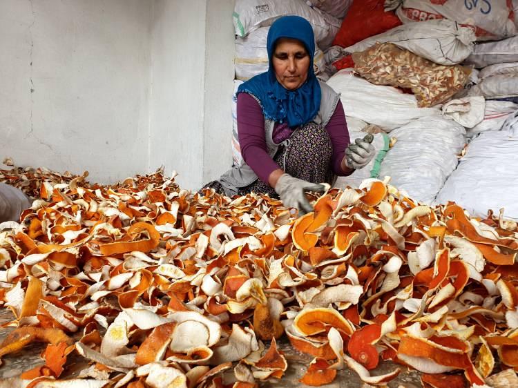 <p>Çukurova'nın önemli tarım merkezlerinden olan Osmaniye'nin Kadirli ilçesinde yılda 300 ton portakal kabuğu ekonomiye kazandırılıyor.</p>
