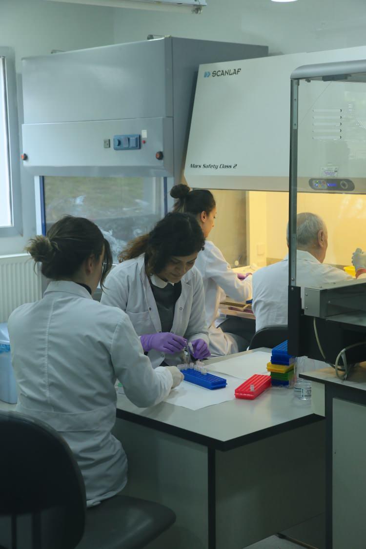 <p>Firma, Gebze'deki Ar-Ge merkezinde bir ay süren çalışmaların ardından yaklaşık 3 saat içerisinde sonuç veren moleküler tabanlı test kiti geliştirmeyi başardı. Kit, 50 ila 100 hastayı test etmek için yeterli reaktif içeriyor.</p>
