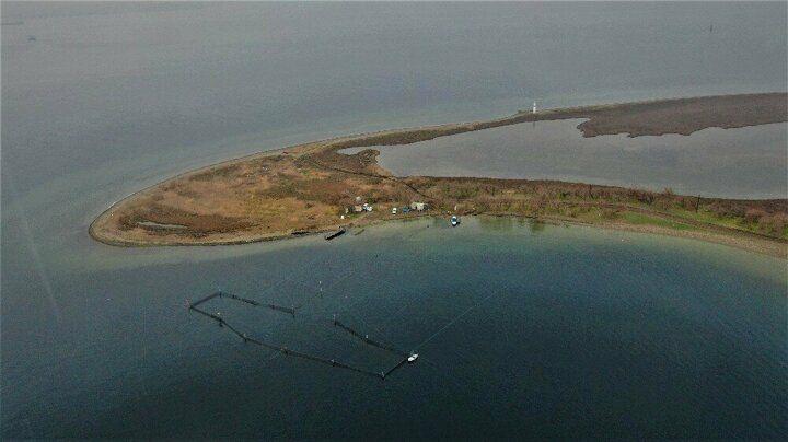 <p>Çanakkale'de balıkçılar kurdukları tuzaklarla denize açılmadan günde 1 ton balık yakalıyor.</p>
<p> </p>
