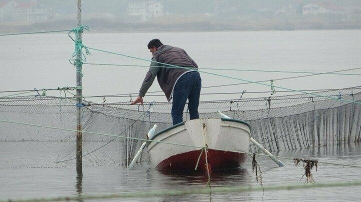 <p>Balıkçılar, gece gündüz nöbet tutarak, balıklar kapana girdiği anda ağları indirip balıkları hemen yakalıyor ve yeni sürüyü yakalamak için tuzağı tekrar kuruyor.</p>