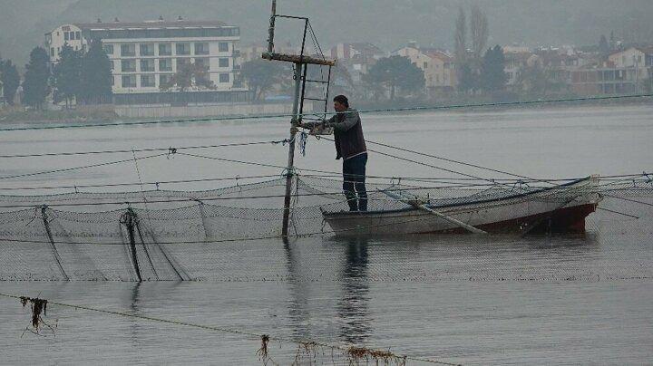 <p>Bu şekilde balıkçılar yorulmadan günde 1 tona kadar balık yakalıyor.</p>

