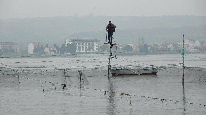 <p>Bugünlerde balıkçıların kurduğu tuzaktan zargana ve gümüş balığı sürüleri çıkıyor.</p>