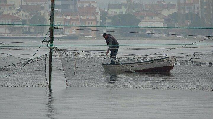 <p>“Bu sistem Rum kapanı olarak bilinir. Rumların bulduğu bir balık tutma sistemi. Türkiye’de bu sisteme dalyan denir. Çanakkale boğazından Karadeniz’e geçen akın balıklarını yakalamak için biz bu sistemi kuruyoruz. Şubat ayında balık akını başlar. Temmuz ayında biter. Biz de sistemi bu aylarda kuruyoruz. Kapanı kurduktan sonra her gün ağların başında bekliyoruz. Balıkları gözlüyoruz. Kurduğumuz tuzağa girdikleri anda tuzağın ağzını kapatıp, balıkları büyükse elimizle, değilse küçük ağlarla yakalıyoruz.”</p>
