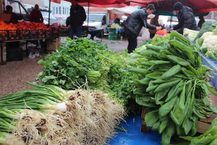 Kalabalık'tan eser kalmadı! Meyve fiyatları yarı yarıya düştü
