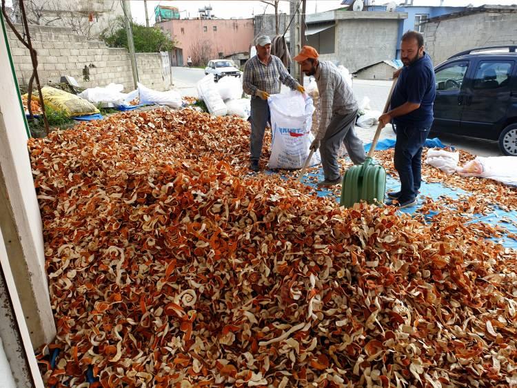 <p>"Portakal esansı, kabuklardan üretiliyor. Bu nedenle çok değerli ve pahalı. Portakalın kendisi bahçede 2 liraya satılırken kabuğu 10 liraya kadar alıcı buluyor. Çukurova genelinden alımlar yapıyoruz. Portakal, sadece meyvesi yenip suyu içilen bir ürün olmanın ötesinde kullandığımız birçok farklı üründe de ham madde olarak kullanılmakta."</p>