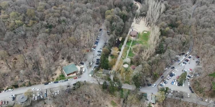 <p>Ancak bazı İstanbullular bugün havanında da güzel olmasını fırsat bilerek Belgrad Ormanı’na akın etti.</p>
