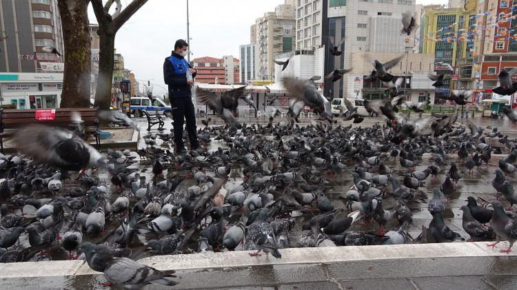 <p>Vatandaşlar evlerine kapanırken, meydanlar güvercinlere kaldı.</p>