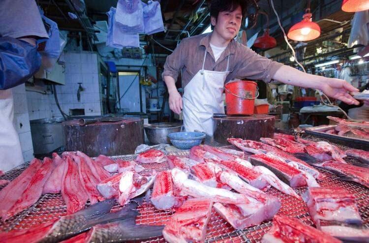 <p>Dünya Sağlık Örgütü, hangi hayvanın salgının kaynağı olduğunundan emin olmasa da, “Yarasalar, diğer hayvanlara (misk kedileri) ve onlar da Çin'in Guangdong bölgesindeki insanlara bulaştırmış olabilir" açıklamasında bulundu.</p>
