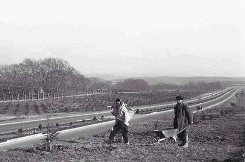 <p>60 sene önce Maslak plazaların olduğu yerde, çilek tarlaları varmış.</p>
<p> </p>
