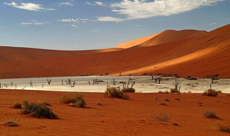 <p><strong>Dead Vlei / Ölü Vlei (Namibya)</strong><br />
Paslı turuncu rengindeki dev kum tepeleriyle çevrili kuru bir vahada güneşi batmış bir ölü orman… Su eksikliğinin yaşandığı bu ormanda ağaçlar su aramak adına köklerini dışarıya doğru çıkarmışlar.</p>
