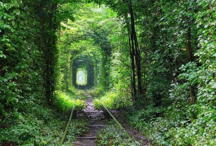 <p><strong>Tunnel of Love / Aşk Tüneli (Ukrayna)</strong><br />
Ukrayna’da demiryolunun üzerinde bulunan yeşil yapraklı ağaçlarla çevrili bu tünel, geçtikçe sizi büyülü bir dünyanın kapısını aralıyor.</p>
