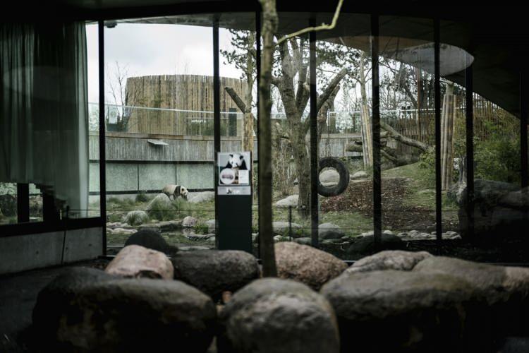 <p>Danimarka - Kopenhag </p>
