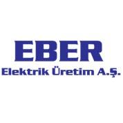 <p><strong>EBER ELEKTRİK ÜRETİM ANONİM ŞİRKETİ ERDEM HOLDİNG</strong></p>

<p>1.000.000₺</p>
