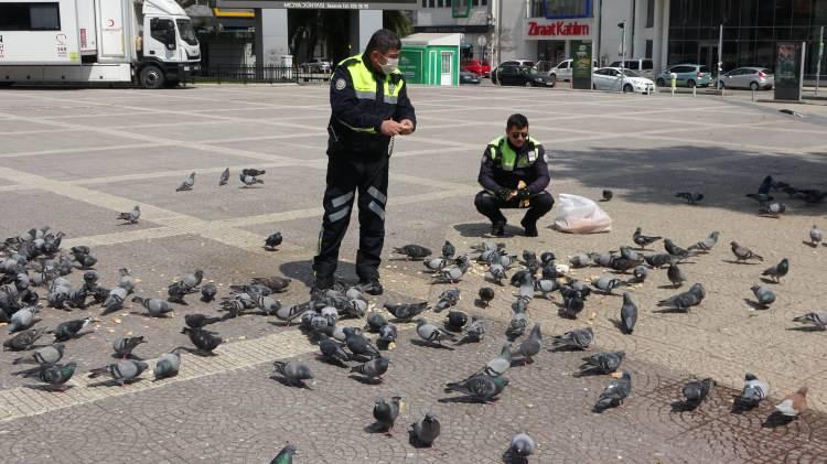 <p>Korona virüs tedbirleri kapsamında 31 ilde 2 günlük sokağa çıkma yasağı uygulanırken, Samsun Cumhuriyet Meydanı'nda vatandaşların yem atarak beslediği güvercinler aç kaldı.</p>