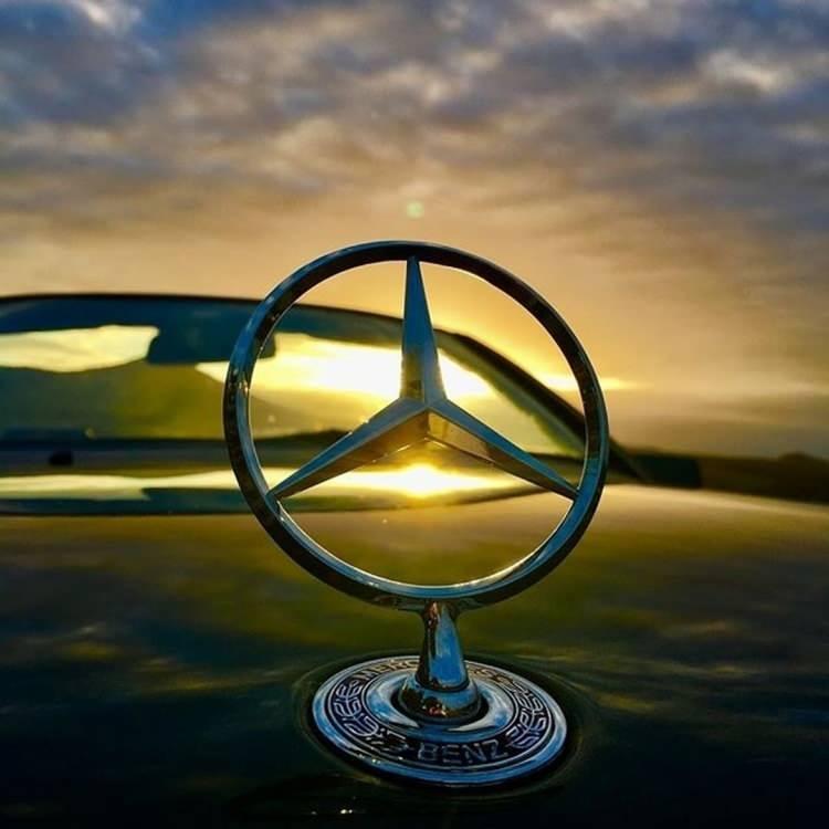 <p>7 bin 639 adetle<strong> Mercedes-Benz</strong></p>

<p> </p>
