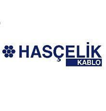 <p><strong>HASÇELİK KABLO SANAYİ VE TİCARET A.Ş.</strong></p>

<p>1.000.000₺</p>
