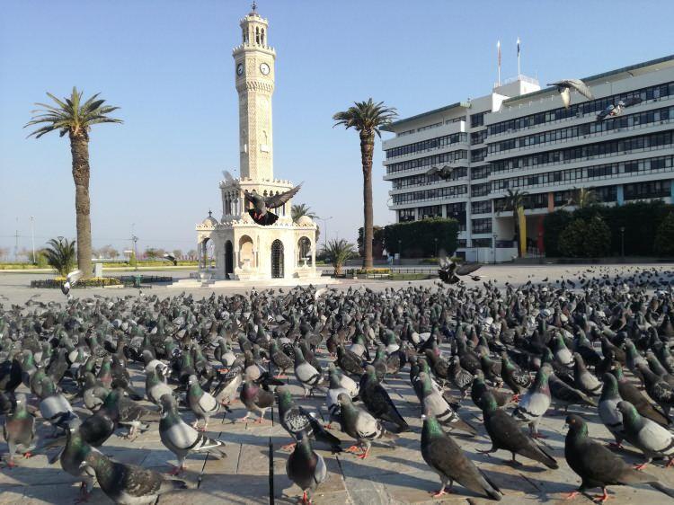 <p>İzmir</p>
