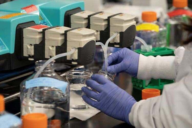 <p>Shi'nin ekibi, 23 Ocak'ta hastalığı tanımlayan verilerini bilimsel bir portalda yayınladı. Bu, aynı bilgiler Nature dergisinde yayınlanmadan bir ay öncesine denk geliyordu.</p>

<p> </p>
