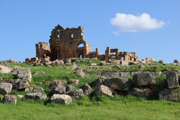 <p>Çınar'a 13 kilometre uzaktaki Demirölçek Mahallesi yakınlarında bulunan, Roma İmparatorluğu döneminde askeri yerleşim olarak kullanılan Zerzevan Kalesi'nde, Kültür ve Turizm Bakanlığı koordinesinde başlatılan kazılar 5 yıldır devam ediyor. </p>
