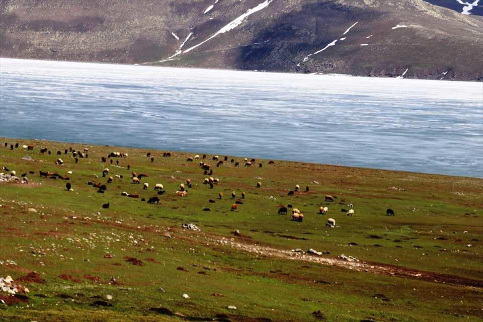 <p>Doğu Anadolu'nun önemli turizm merkezleri arasında yer alan ve yüzeyi yaklaşık 6 ay buzla kaplı olan Balık Gölü'nde, ilkbaharın gelişiyle birlikte buzlar da erimeye başladı.</p>

<p> </p>
