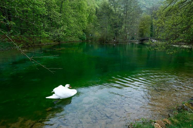 <p>İşte Bosna Herkes'in en güzel yerlerinden olan Vrelo Bosne Milli parkı</p>
