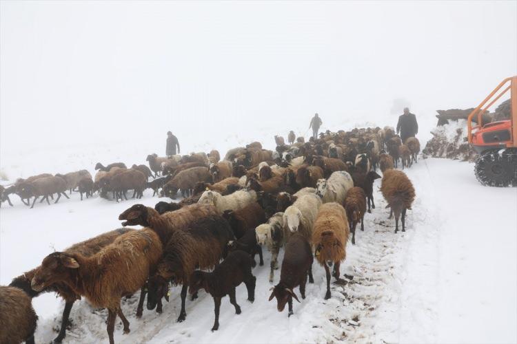 <p>Iğdır'da yalancı bahara aldanıp çıktıkları 3 bin 150 rakımlı Zor Dağı'nda aniden bastıran kar ve tipide mahsur kalan 3 çoban ve hayvanları İl Afet ve Acil Durum Müdürlüğü (AFAD) ile 5137 ADAK gönüllü arama kurtarma dağcıları, tarafından kurtarıldı.</p>
