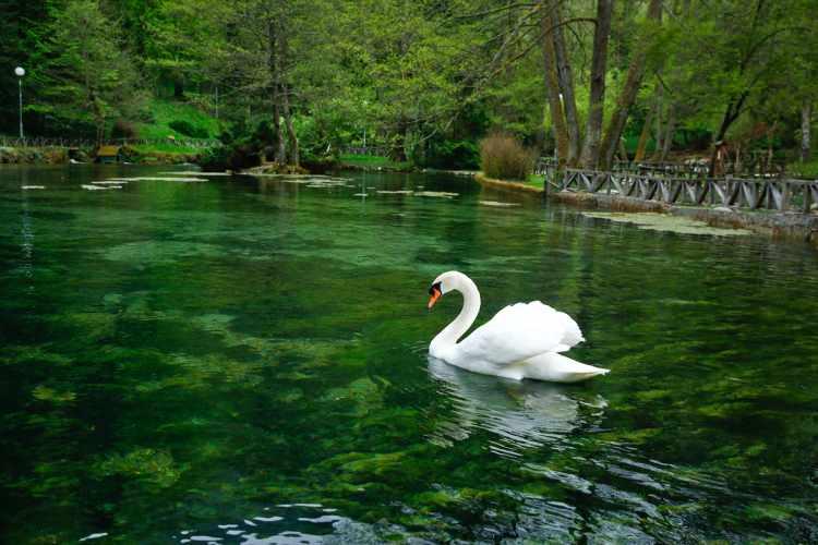 <p>Özellikle masal diyarları kadar güzel görünen bu yer, koronavirüs salgını sonrasında muhakkak ziyaret edilecek yerlerden biri olmalı.</p>
