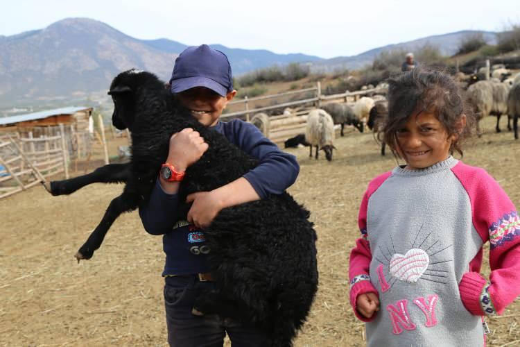 <p>Yayla sezonu Eylül gibi sona ermesinin ardından, yine aynı şekilde geri dönüş başlar ve Kasım gibi sürü içeri alınır. Bu süreçte içeri de besi yapılır ilk baharla sürü yeniden dışarı bırakılır. Bu sürede kuzulama dönemi başlar. Kuzuları dışarı bırakıldığı zaman, annesinin sesini tanıdığın için direk annesine gider.</p>