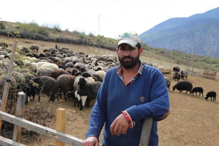 <p>Ardanu&ccedil; Harmanlı k&ouml;y&uuml; sakinlerinden 60 yaşındaki besici Şaban Beşli, ise yaptığı a&ccedil;ıklamada &ldquo;G&ouml;z&uuml;m&uuml; a&ccedil;tım a&ccedil;alı bu işi yapıyorum. Bu işin zevkli ve zor tarafları var. Sevmezsen bu işi yapamazsın. Bu iş bizim kemiğimize kaynamış, bu işten vaz ge&ccedil;emeyiz. Ge&ccedil;imimizi bu işten sağlıyoruz&rdquo; diye konuştu.</p>

