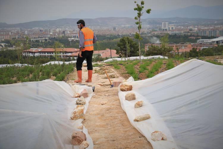 <p>Fide çalışmasında amacına değinen Karabulut, "Bu ay sebze fidelerinin dikim ayları, amacımız hem virüsün yayılmasını engellemek hem de yaz aylarında bu sebzeden edilecek ürünlerle üretimin devam etmesini sağlamak.</p>