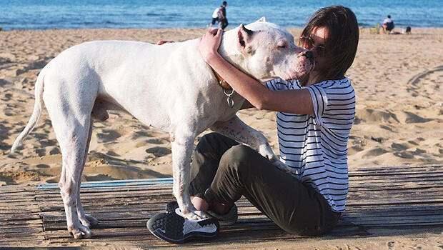 <p>Ünlü oyuncu köpeğine veda ettiği paylaşımında<strong> "Canım köpeğim, dostum, yol arkadaşım.. Bana karşılıksız sevginin ne olduğunu tekrar tekrar öğrettiğin için sana ne kadar teşekkür etsem az. Dökemiyorum içimden geçenleri ama sen benim hep kalbimin en özel yerinde olacaksın. Son günlerinde bile hep güçlü kaldığın için sana çok teşekkür ederim. Huzur içinde uyu pamuk kalplim. Aslında dilerim ki senin gidişin birlerine fayda sağlasın. O yüzden; Lütfen, lütfen ve lütfen durumunuz yeterli ise köpeklerinize yılda bir kan testi yaptırın. Çünkü bazen dostlarımız bize çektikleri acıları göstermek istemeyebilirler. Ben bunu çok geç öğrendim, yetişemedim. Dilerim ki siz yetişirsiniz" </strong>dedi.</p>
