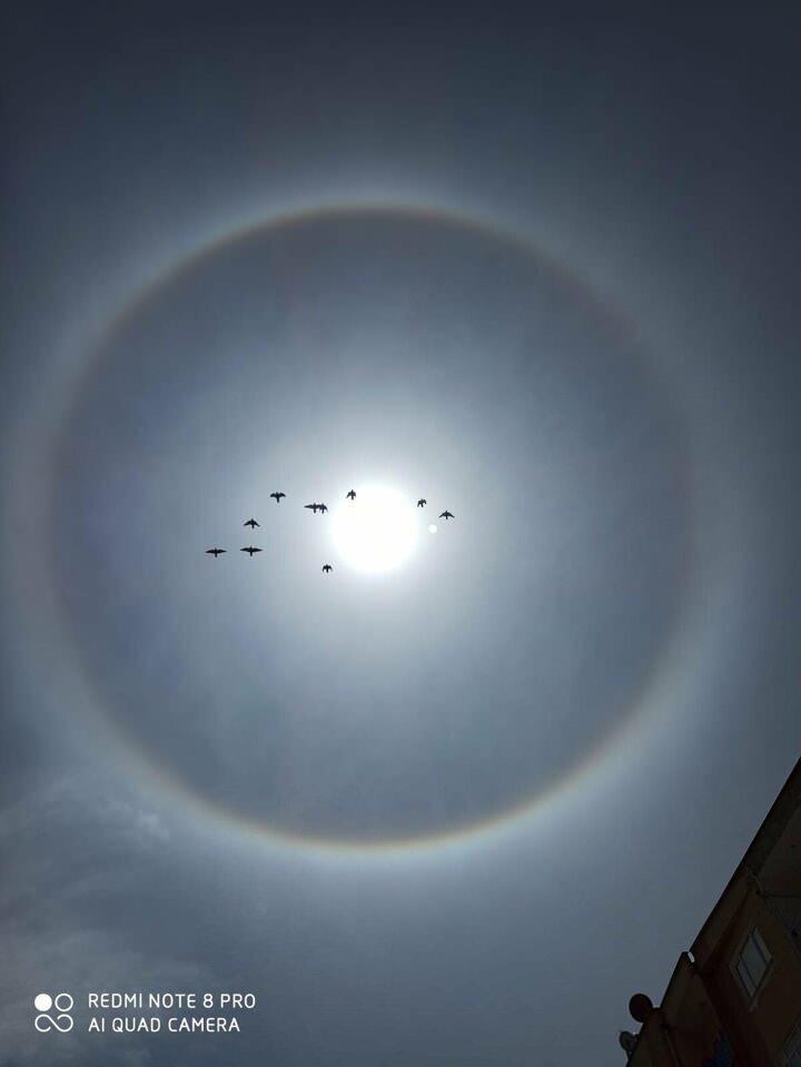 <p>Tokat kent genelinde g&ouml;r&uuml;len ilgin&ccedil; bir doğa olayı ger&ccedil;ekleşti. G&uuml;neş &ccedil;ıplak g&ouml;zle g&ouml;r&uuml;lebilirken g&uuml;neşin &ccedil;evresinde oluşan, g&ouml;kkuşağını andıran halka şaşkınlığa neden oldu.</p>

<p>&nbsp;</p>
