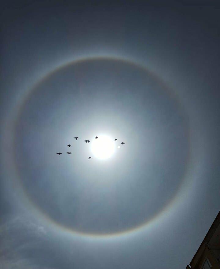 <p>Tokat'ta, &ouml;ğle saatlerinde 'g&uuml;neş halesi' olayı yaşandı. G&uuml;neşin etrafında halka oluştuğunu g&ouml;ren vatandaşlar, o anları cep telefonları ile g&ouml;r&uuml;nt&uuml;ledi.</p>
