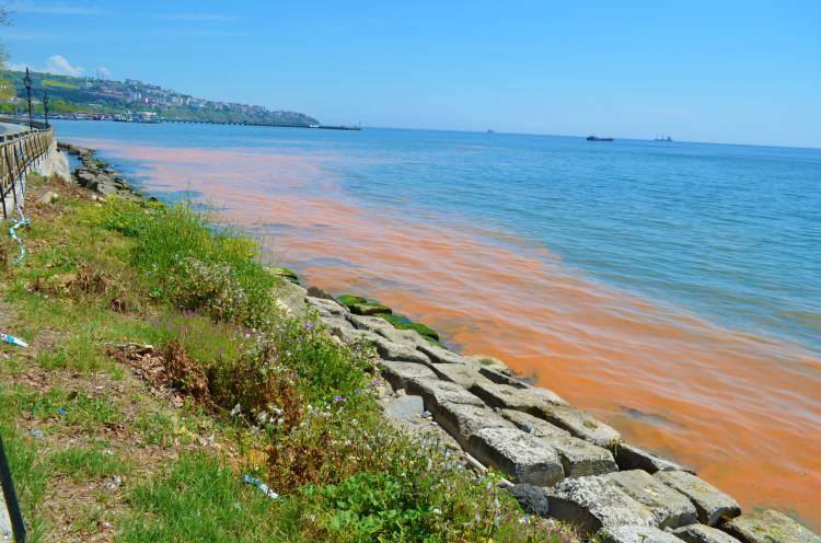 <p>Tekirdağ’ın şehir merkezinde kıyı sahil şeridi boyunca deniz turuncu renge boyandı. Plankton çoğalması ile oluşan turuncu 4 gün önce de meydana gelmişti.</p>
