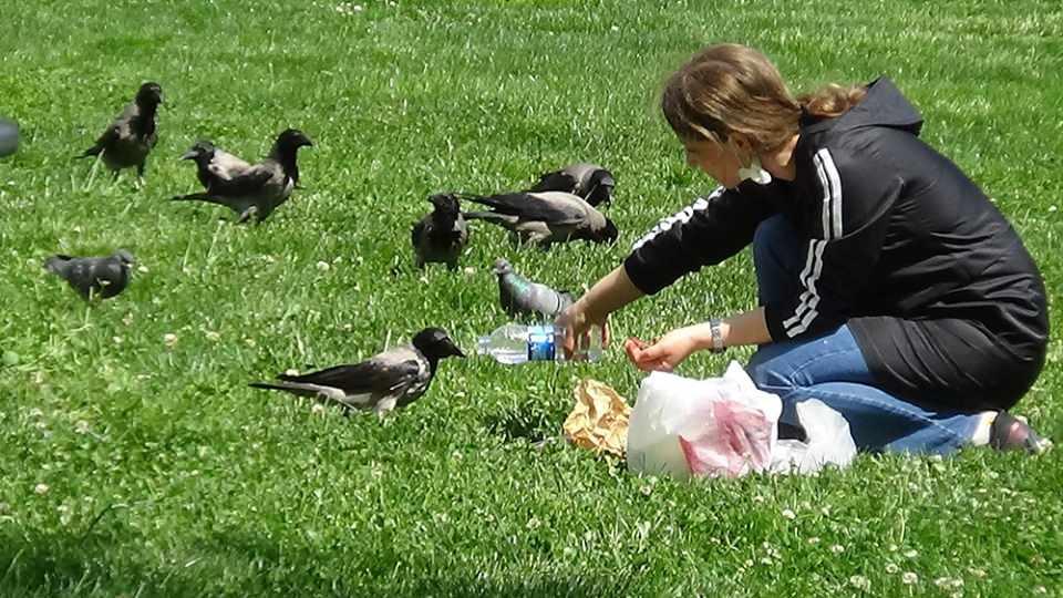 <p>Yemeklerini alıyoruz ve beslemesini yapıyoruz. Geldiğimde hemen koluma ve kafama konarak yemeklerini yiyor, oyunlarımızı oynuyoruz, daha sonra tekrar doğaya gidiyor ve orada yaşıyor. </p>
