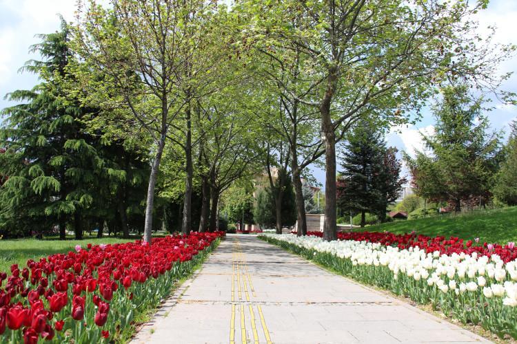 <p>Sokağa çıkma kısıtlamasının uygulandığı Ankara’da sokaklar boş kaldı. Cadde ve sokaklar sessizliğe bürünürken, parkların ve yeşil alanların baharın renkleriyle süslenmesi hayranlık uyandırdı.</p>