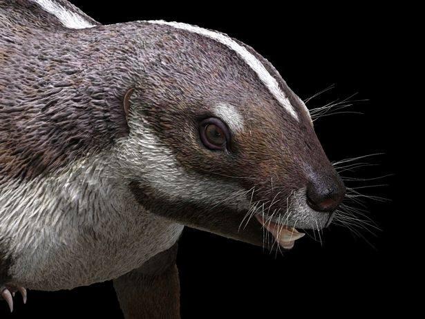 <p>Güney yarımkürede, antik Gondvana kıtasında yaşayanlar içinde şimdiye kadar ilk bütün halde keşfedilmiş fosili bulunan canlının boyunun bir sıçan kadar olduğu aktarıldı. </p>

<p> </p>
