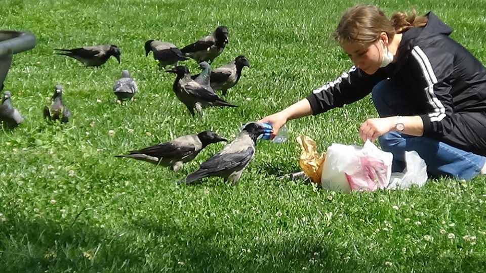 <p>Beykoz Belediyesi ekiplerine teşekkür eden Çakır, “Her gün gündüz 14.00 ile 16.00 arası buraya geliyoruz. </p>
