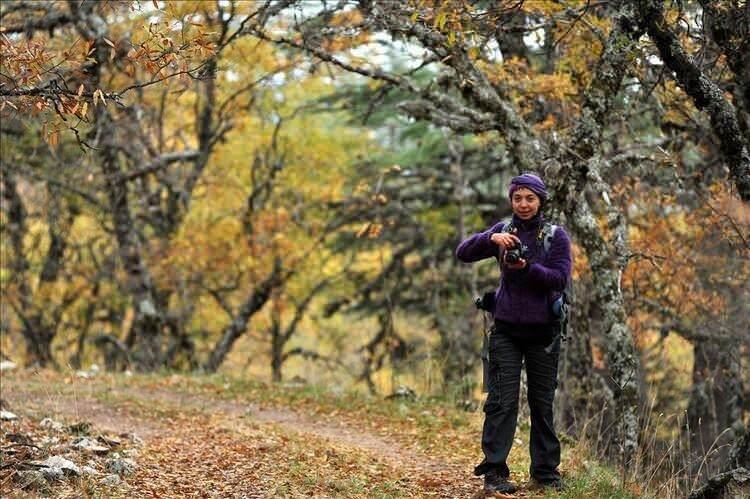 <p>KASNAK MEŞESİ </p>
<p>Kasnak meşesi, doğal olarak sadece Eğirdir'e bağlı Yukarı Gökdere köyü sınırlarında yetişiyor. 1987'de "tabiat koruma alanı" ilan edilen Yukarı Gökdere köyü sınırlarındaki ormanda, boyu 30 metreyi aşan, 1,6 metreye ulaşan çaplarıyla 650 yıllık kasnak meşeleri var. Küçük grup ile kümeler halinde bulunan kasnak meşesi, toprağın derin olduğu ve çukur alanlarda en iyi gelişmeyi gösteriyor.</p>