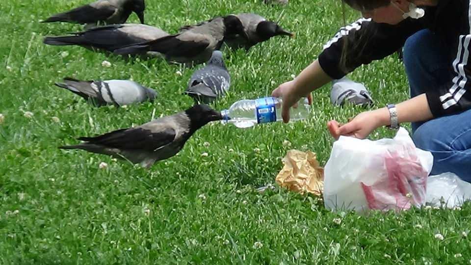 <p>Sokağa çıkma kısıtlamasında da onu yalnız bırakmayarak Beykoz Belediyesi ekipleri ile geliyoruz. </p>
