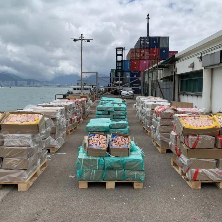 <div>Söz konusu şirketin sahibinin gözaltına alındığını ifade eden Danny Cheung, konteynerlerde kurutulmuş köpek balığı yüzgeci dolu 300'den fazla plastik çantanın bulunduğuna ve bu yüzgeçlerin çoğunun nesli tükenme tehlikesiyle karşı karşıya olan köpek balığı türlerine ait olduğuna dikkati çekti. </div>

<div> </div>
