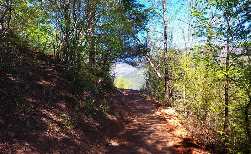<p>Artvin’deki doğal yapıyı bozmadan ekoturizm alanlarını belirleyerek hazırlanan “Artvin Çoruh ekoturizim projesi” Orman Bölge Müdürlüğü tarafından hayata geçiriliyor. Artvin Orman Bölge müdürlüğü tarafından, kentteki ekoturizm alanlarını belirleme ve doğal yapısını bozmadan vatandaşların hizmetine sunma çalışmaları tüm hızıyla devam ediyor.</p>
